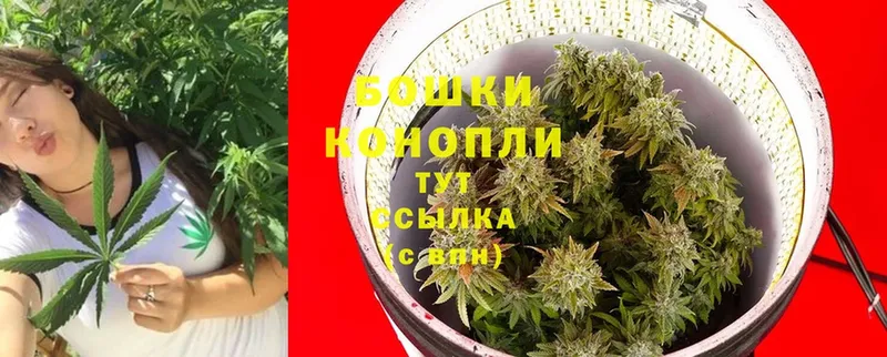 Бошки марихуана White Widow  где купить наркоту  Стрежевой 